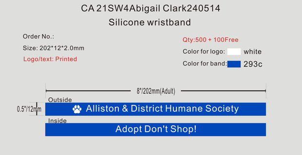 Silicone wristband- 21SW4Abigail Clark